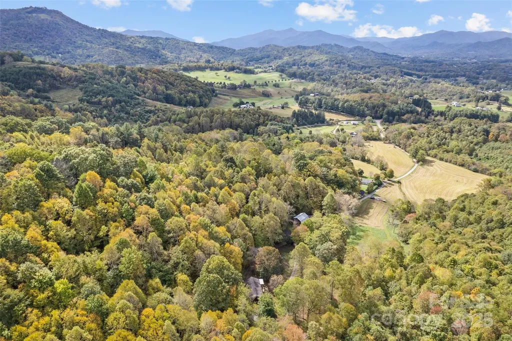 940 Haynes Cove Clyde NC 28721