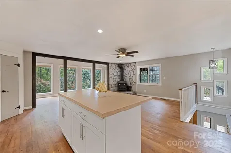 940 Haynes Cove Clyde NC 28721