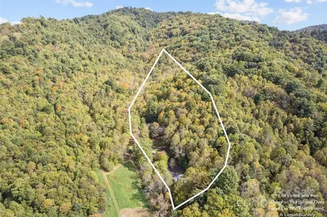 940 Haynes Cove Clyde NC 28721