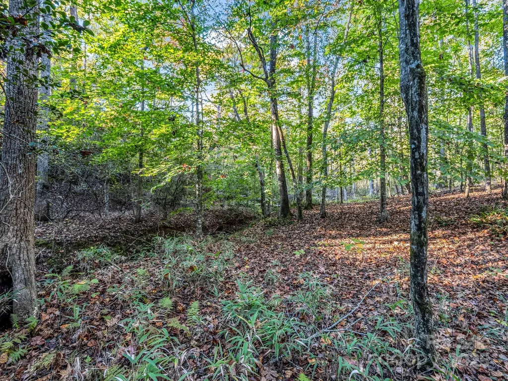663 Landrum Road Columbus NC 28722