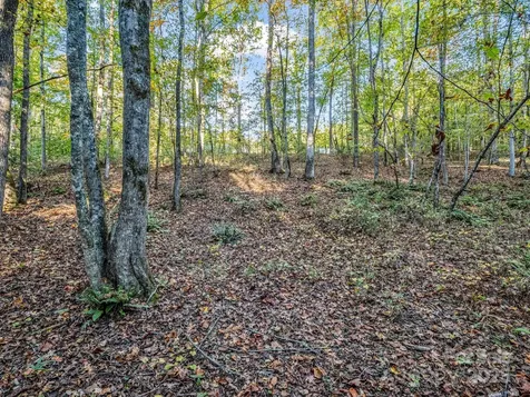 663 Landrum Road Columbus NC 28722