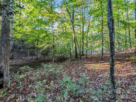 663 Landrum Road Columbus NC 28722