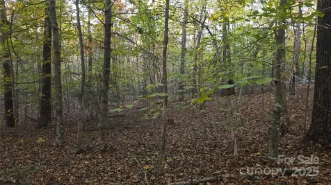 663 Landrum Road Columbus NC 28722