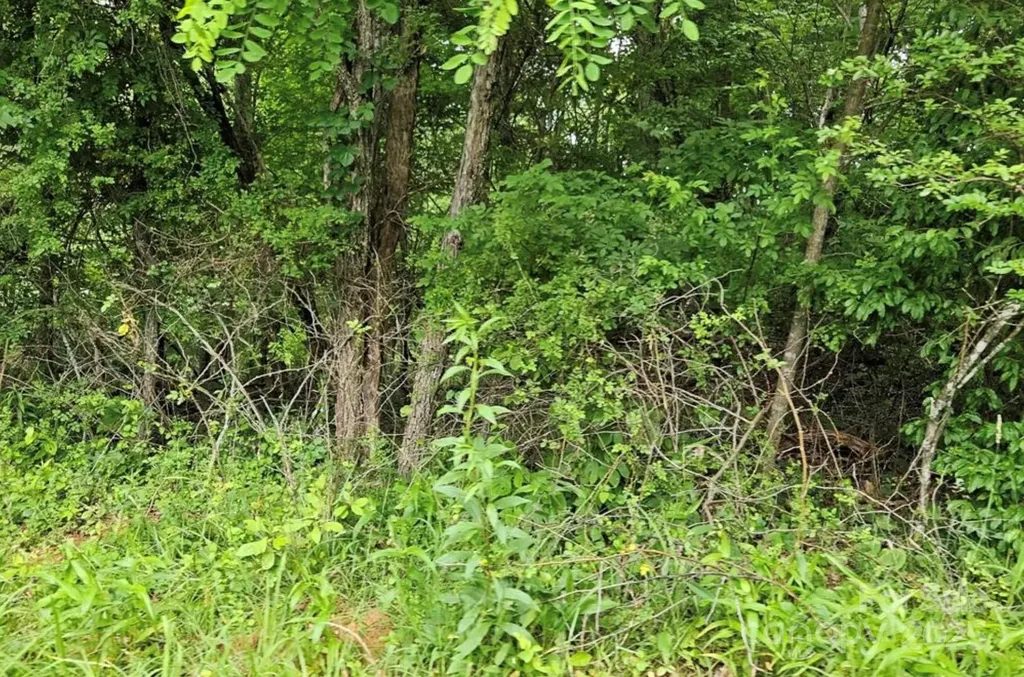 Lot 3 Mountain View Road Burnsville NC 28714