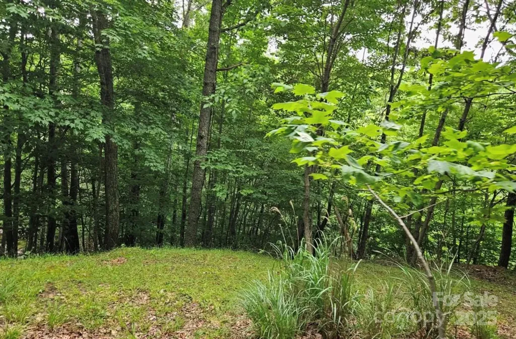 Lot 3 Mountain View Road Burnsville NC 28714
