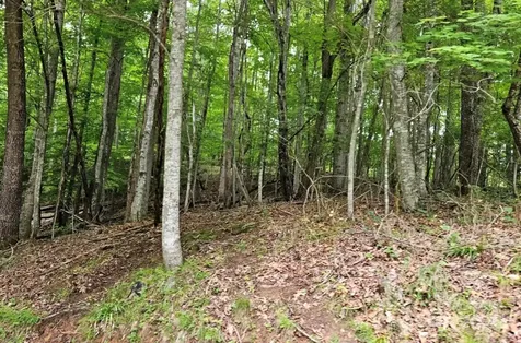 Lot 3 Mountain View Road Burnsville NC 28714