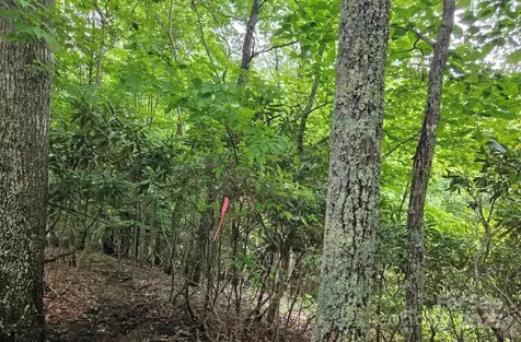 Lot 3 Mountain View Road Burnsville NC 28714