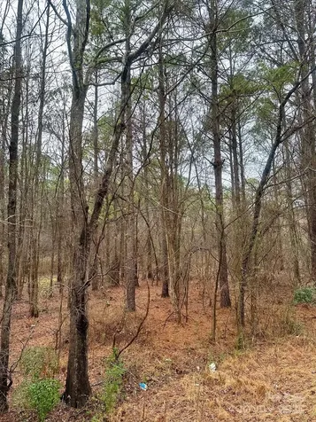 1176 Great Falls Highway Chester SC 29706
