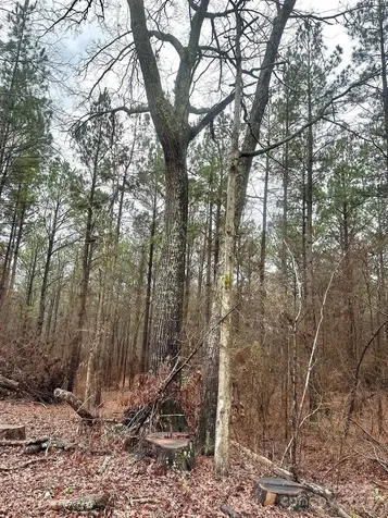 1176 Great Falls Highway Chester SC 29706