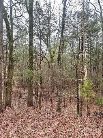 1176 Great Falls Highway Chester SC 29706