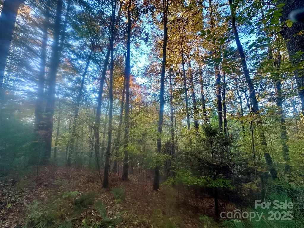 00 Wildlife Drive Clyde NC 28721