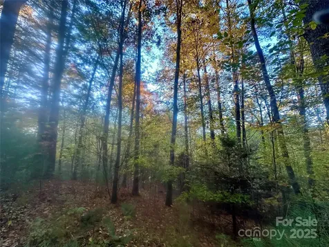 00 Wildlife Drive Clyde NC 28721