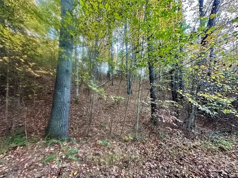 00 Wildlife Drive Clyde NC 28721