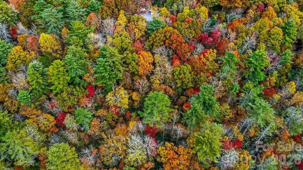 000 Indian Lake Road Lake Toxaway NC 28747
