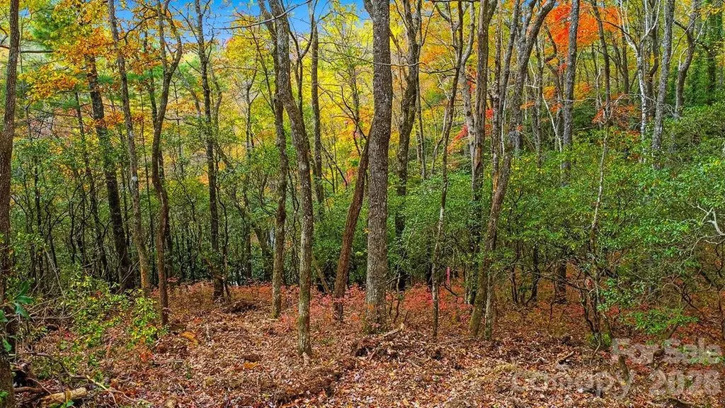 000 Indian Lake Road Lake Toxaway NC 28747