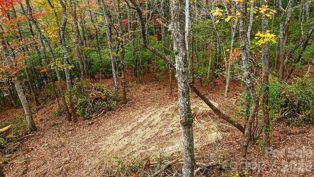 000 Indian Lake Road Lake Toxaway NC 28747