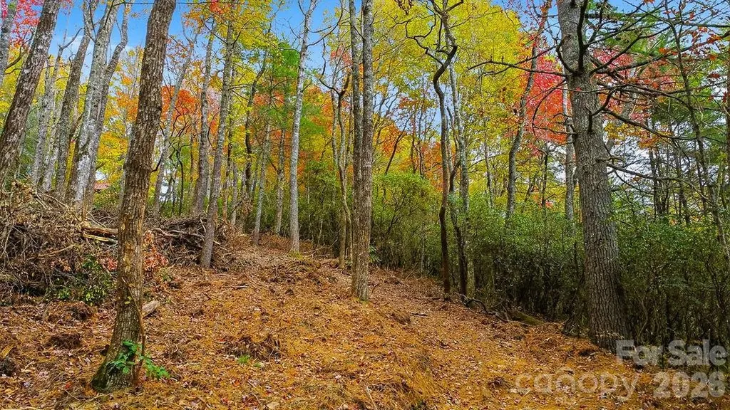 000 Indian Lake Road Lake Toxaway NC 28747