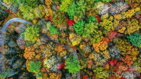 000 Indian Lake Road Lake Toxaway NC 28747