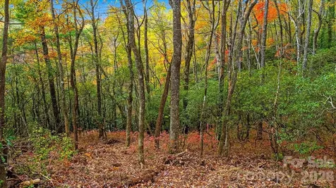 000 Indian Lake Road Lake Toxaway NC 28747