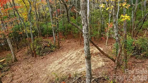 000 Indian Lake Road Lake Toxaway NC 28747
