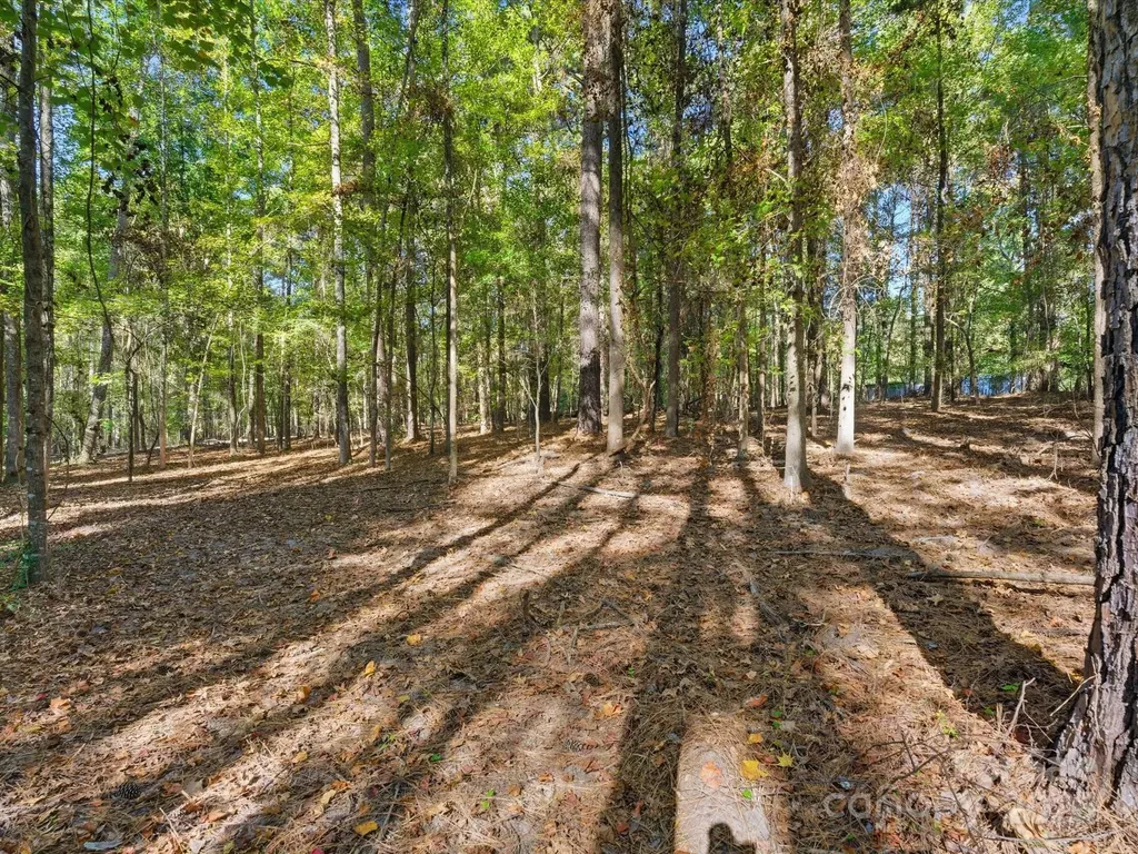 5316 Rehobeth Road Waxhaw NC 28173