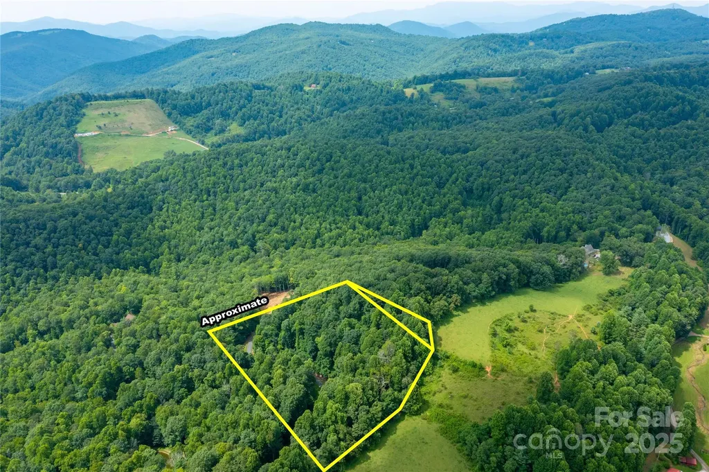 000 Sassafras Drive Little Switzerland NC 28777