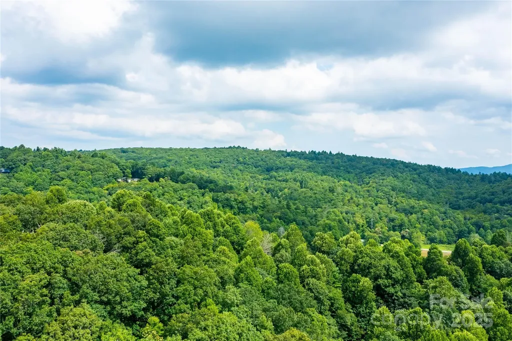 000 Sassafras Drive Little Switzerland NC 28777