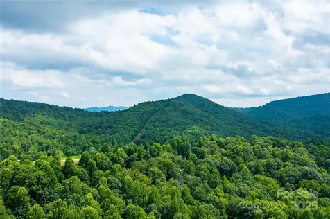 000 Sassafras Drive Little Switzerland NC 28777