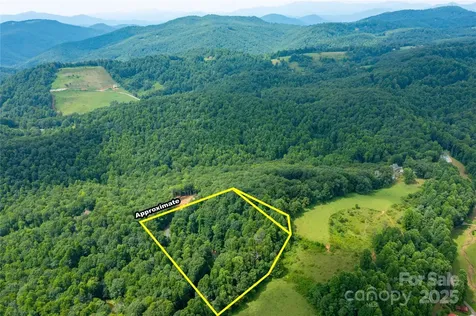 000 Sassafras Drive Little Switzerland NC 28777