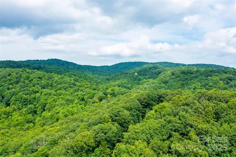 000 Sassafras Drive Little Switzerland NC 28777