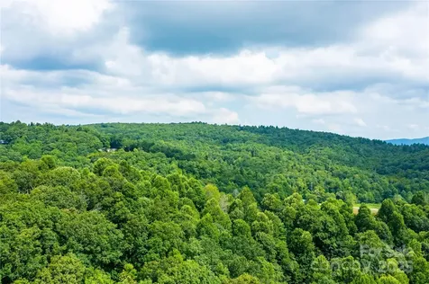 000 Sassafras Drive Little Switzerland NC 28777