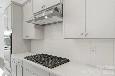 3679 Blue Pine Drive Indian Land SC 29707