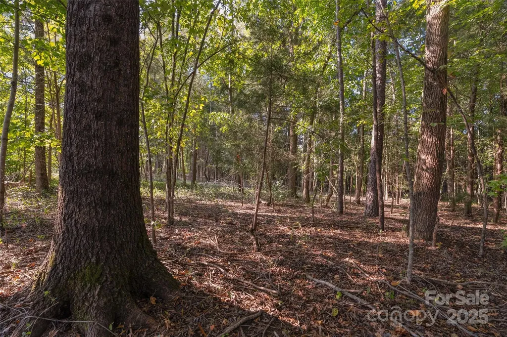 1012 S Oakshire Lane Waxhaw NC 28173