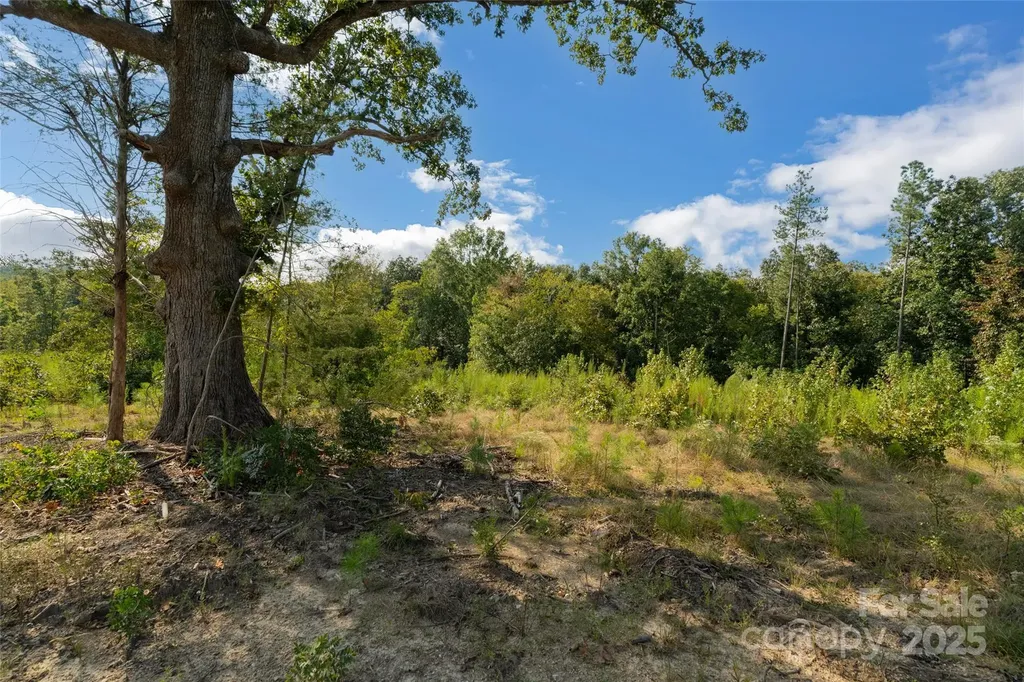 1012 S Oakshire Lane Waxhaw NC 28173