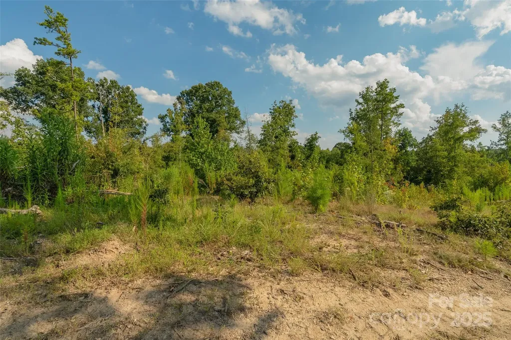 1012 S Oakshire Lane Waxhaw NC 28173