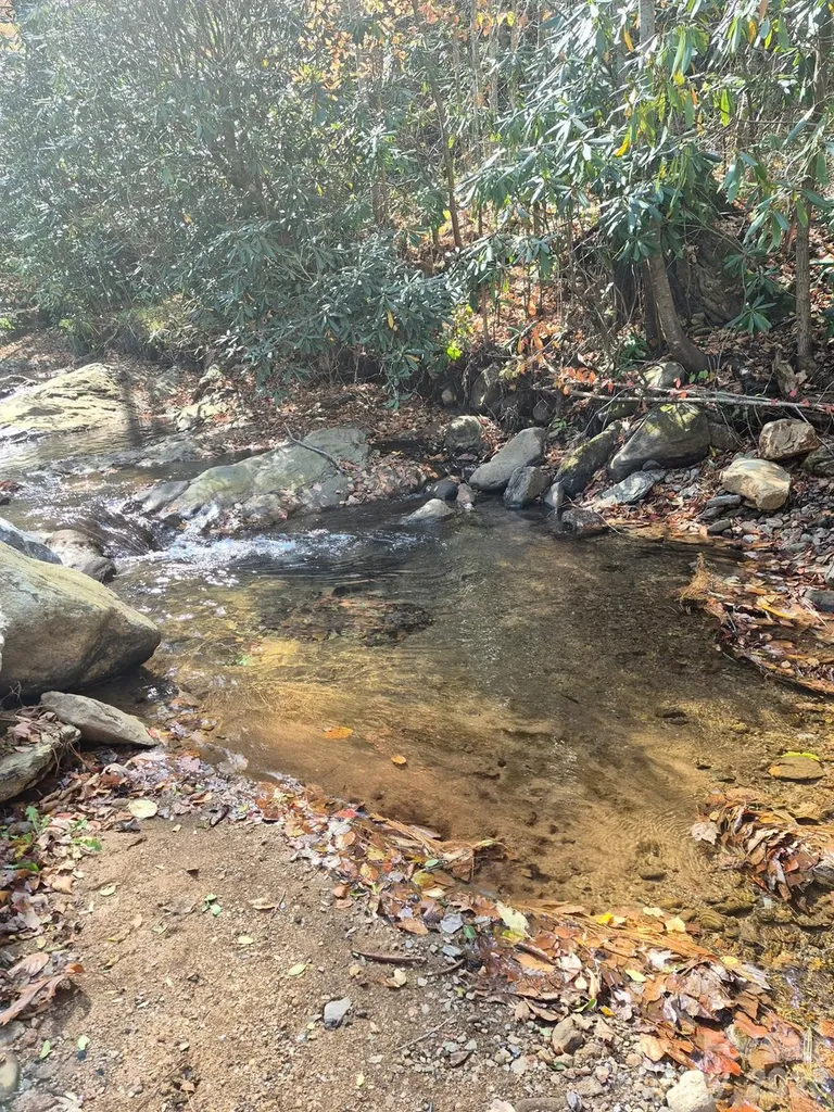 9 Smokey Cove Road Canton NC 28716