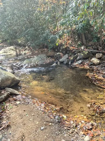 9 Smokey Cove Road Canton NC 28716