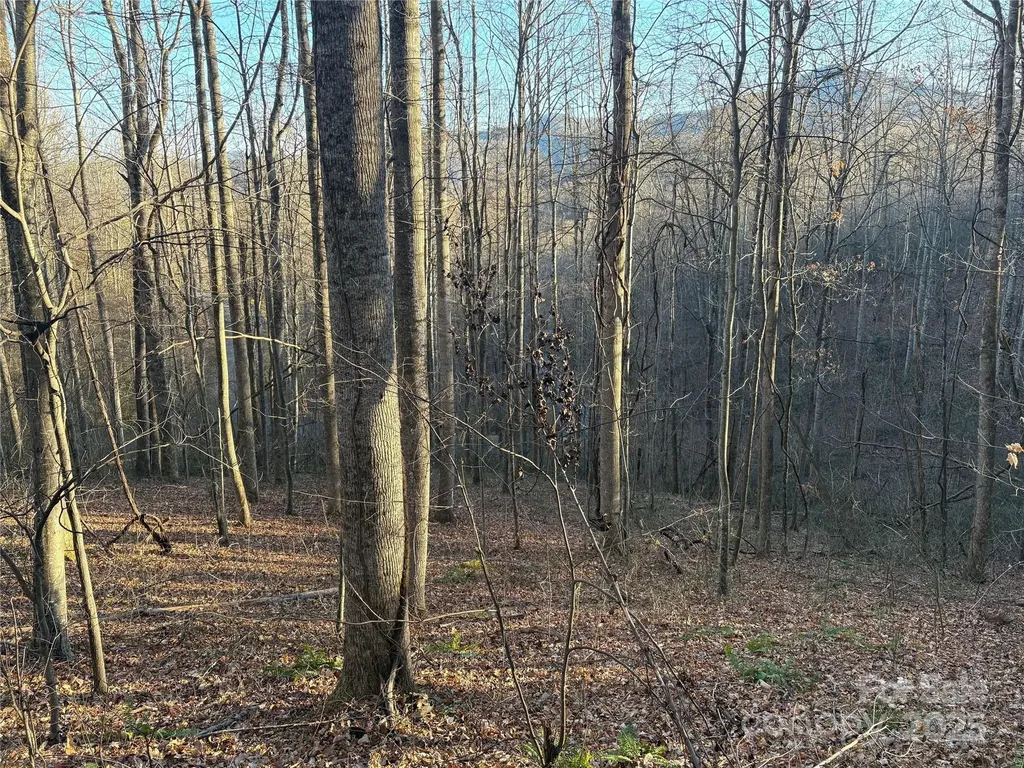 28 Cadillac Pointe Waynesville NC 28785