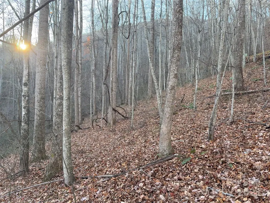 28 Cadillac Pointe Waynesville NC 28785