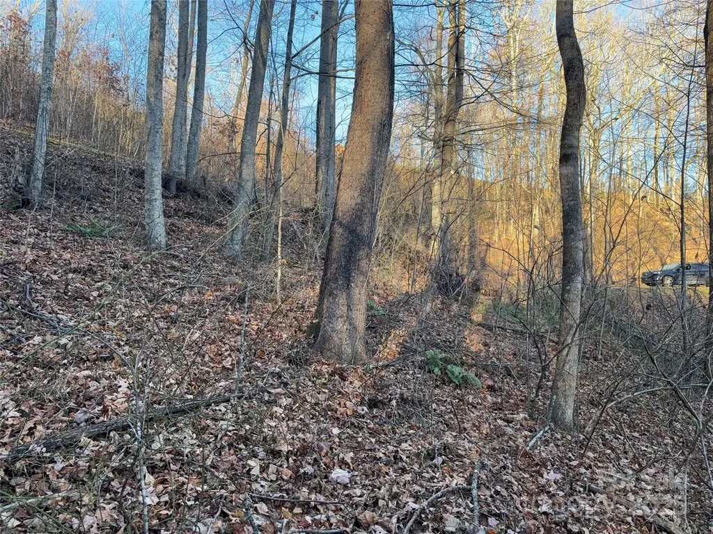 28 Cadillac Pointe Waynesville NC 28785