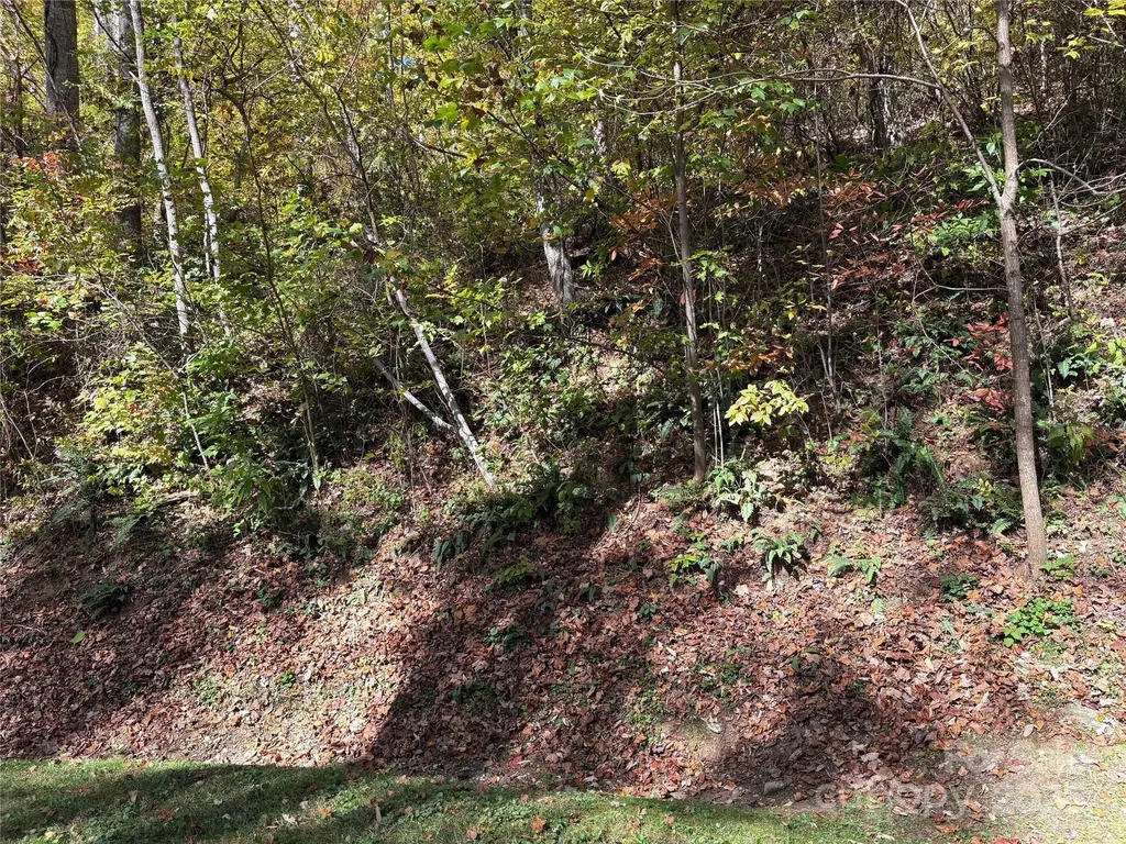 28 Cadillac Pointe Waynesville NC 28785