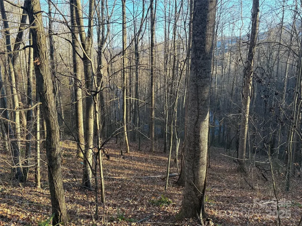 28 Cadillac Pointe Waynesville NC 28785
