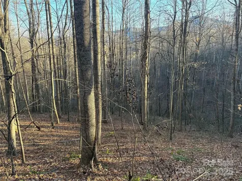 28 Cadillac Pointe Waynesville NC 28785