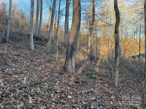 28 Cadillac Pointe Waynesville NC 28785