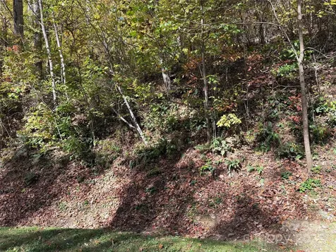 28 Cadillac Pointe Waynesville NC 28785