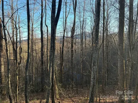 28 Cadillac Pointe Waynesville NC 28785