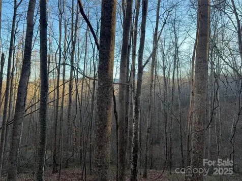 28 Cadillac Pointe Waynesville NC 28785