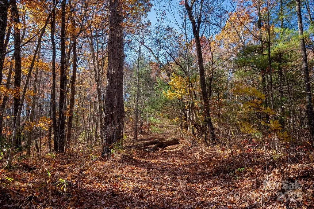 Tbd Old Toxaway Road Brevard NC 28712