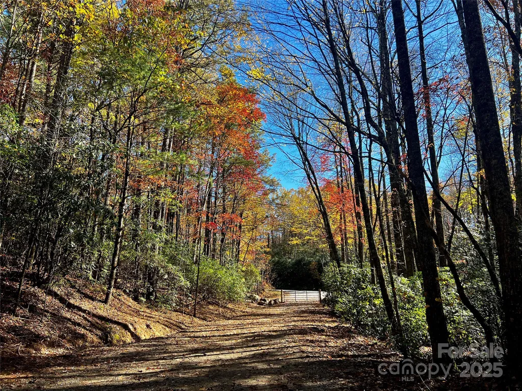 Tbd Old Toxaway Road Brevard NC 28712