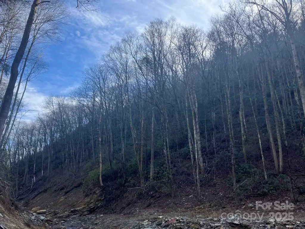 82 Davey Crockett Road Fairview NC 28730